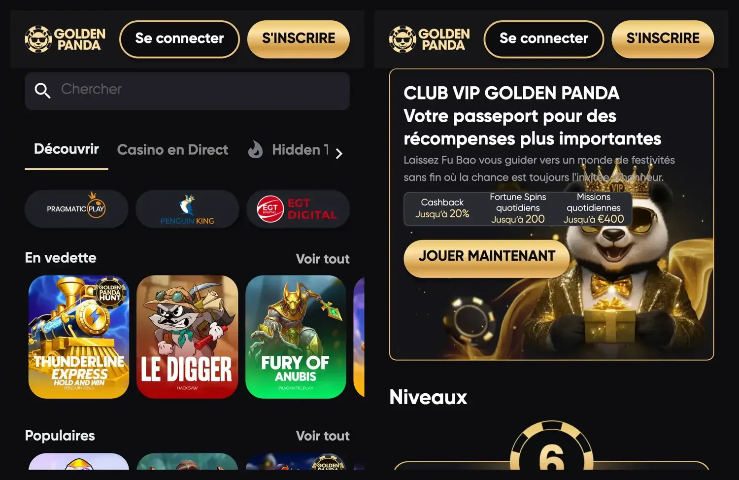 Version mobile