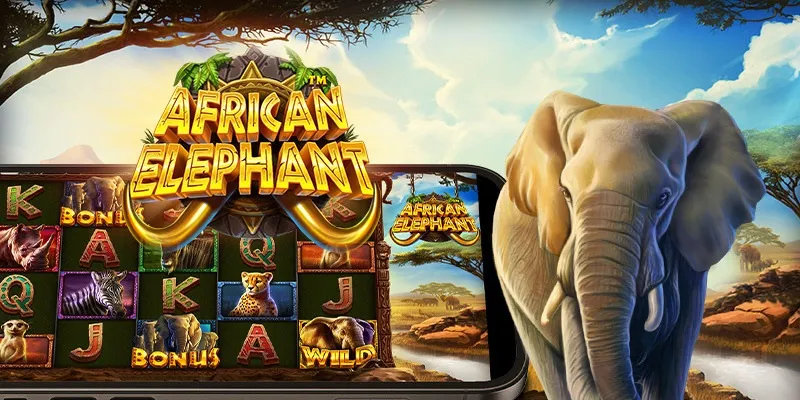 machine a sous African Elephant