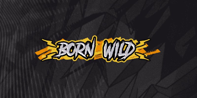 machine a sous Born Wild