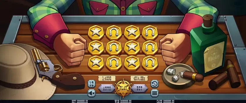 Sheriff's Coins