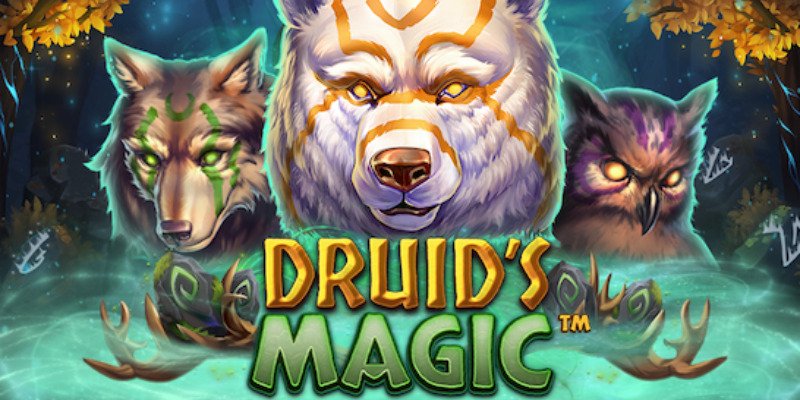machine a sous Druid's Magic