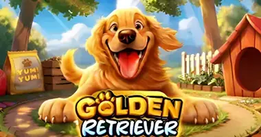 machine a sous Golden Retriever