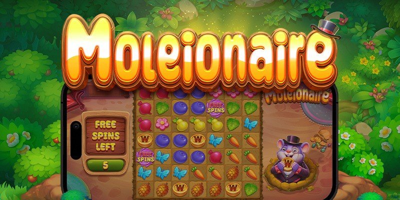 machine a sous Moleionaire