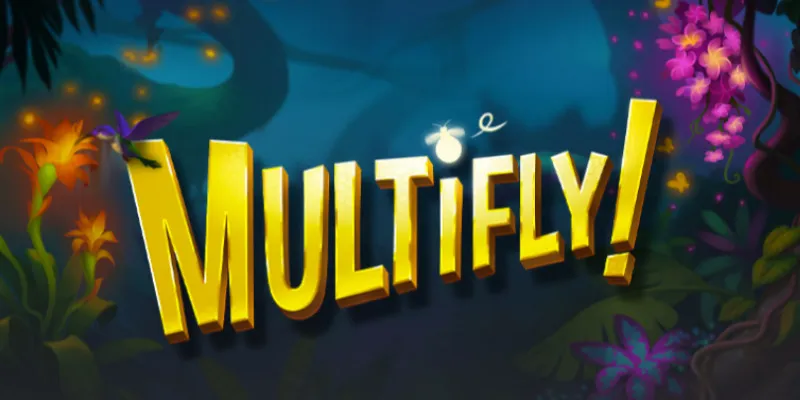 machine a sous Multifly!