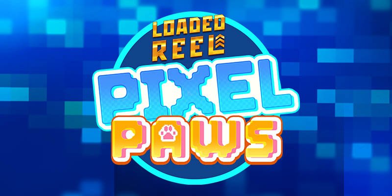 machine a sous Pixel Paws
