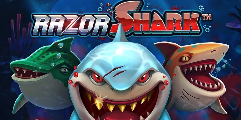 machine a sous Razor Shark