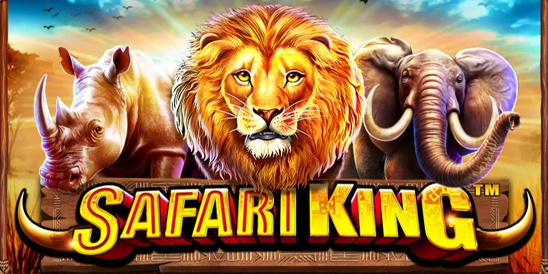 machine a sous Safari King