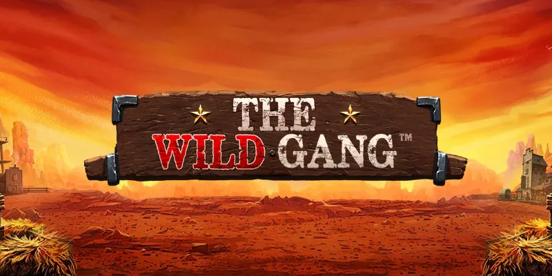 machine a sous The Wild Gang