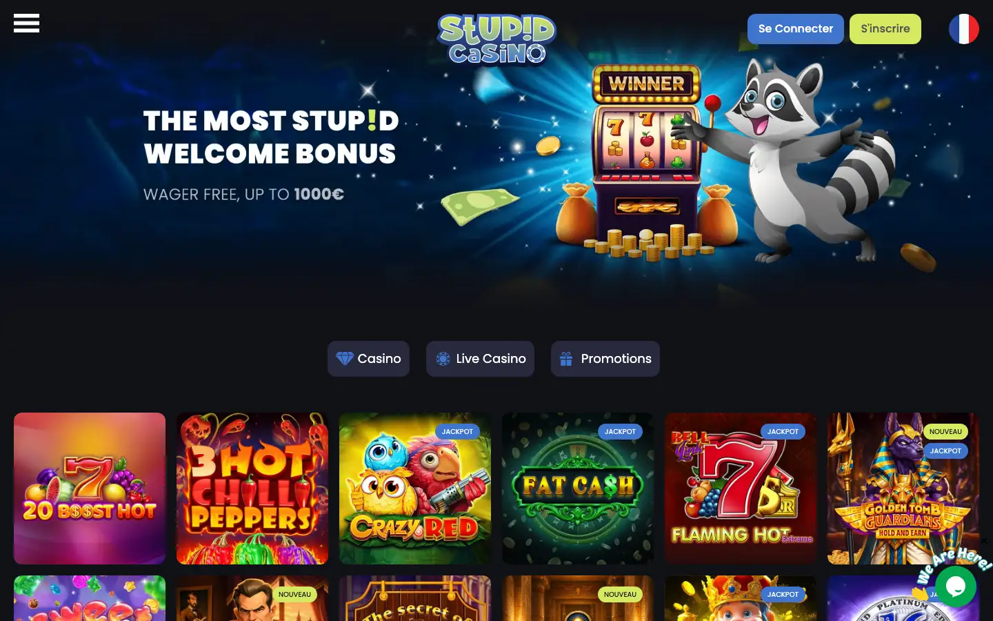 Page d'accueil de Stupid Casino