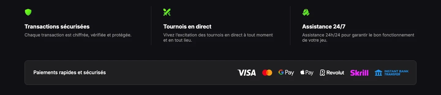 Moyens de paiement affichés par Vibebet : Visa, Mastercard, Google Pay, Apple Pay, Revolut, Skrill et virement instantané